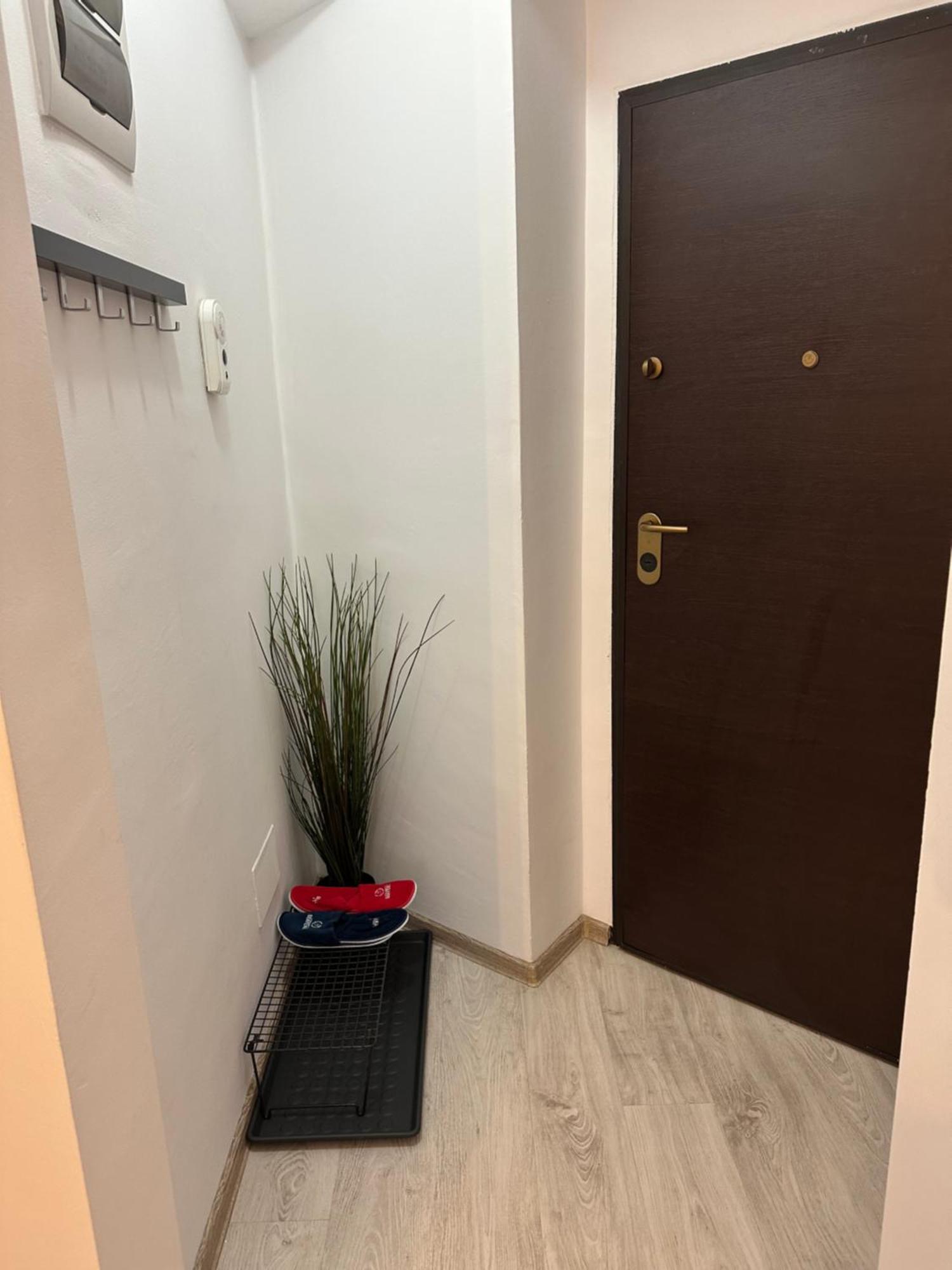 Central Studio Bucur Bucareste Exterior foto